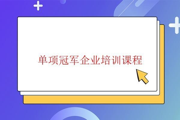  單項冠軍企業培訓課程