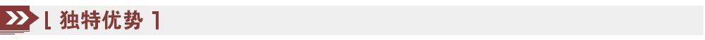獨(dú)特優(yōu)勢 獨(dú)特優(yōu)勢
