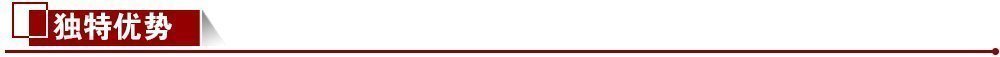 獨(dú)特優(yōu)勢 獨(dú)特優(yōu)勢
