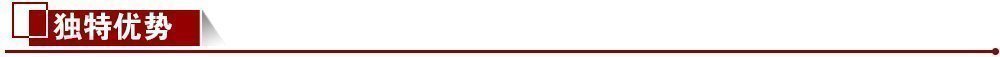 獨特優(yōu)勢 獨特優(yōu)勢