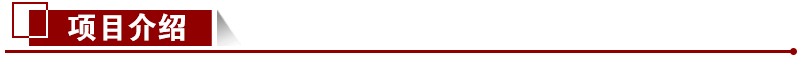 項目介紹 項目介紹