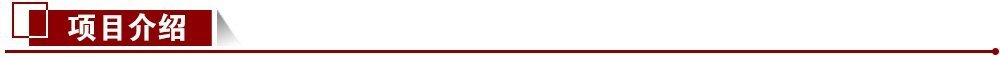 項目介紹