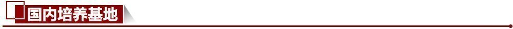 國內培養基地