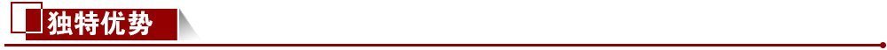 獨(dú)特優(yōu)勢(shì) 獨(dú)特優(yōu)勢(shì)