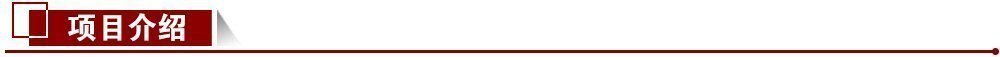 項(xiàng)目介紹