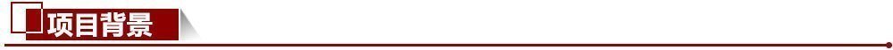 項目背景