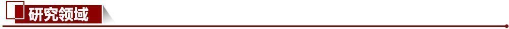 研究領域 研究領域