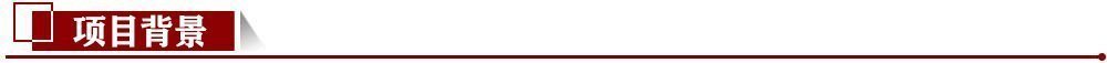 項目背景 項目背景
