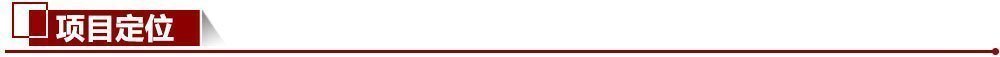 項目定位