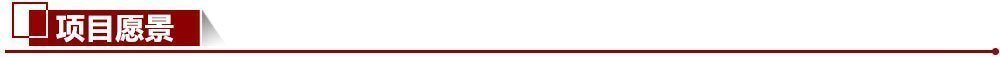 項目愿景