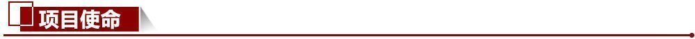 項目使命