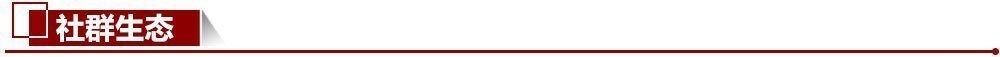 社群生態 社群生態