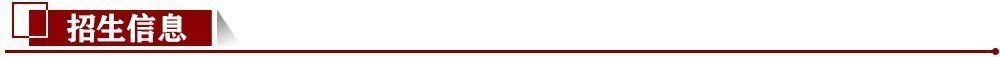 招生信息