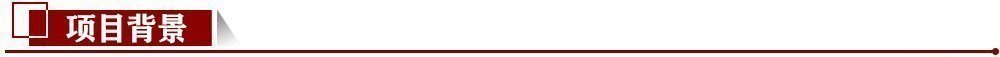 項目背景 項目背景